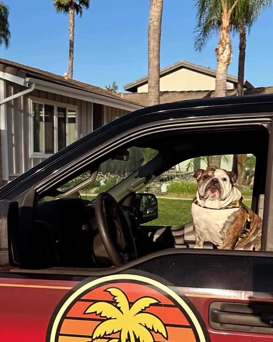 MC Tow OC black truck door logo with bulldog mascot
