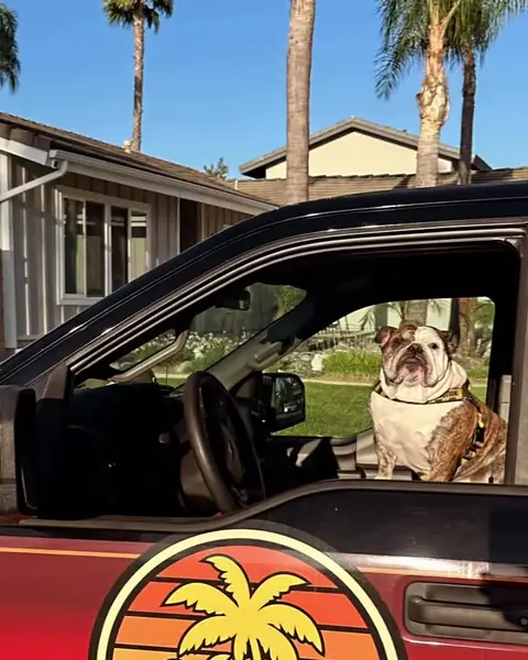 MCTOWOC truck door with the sunset palm logo